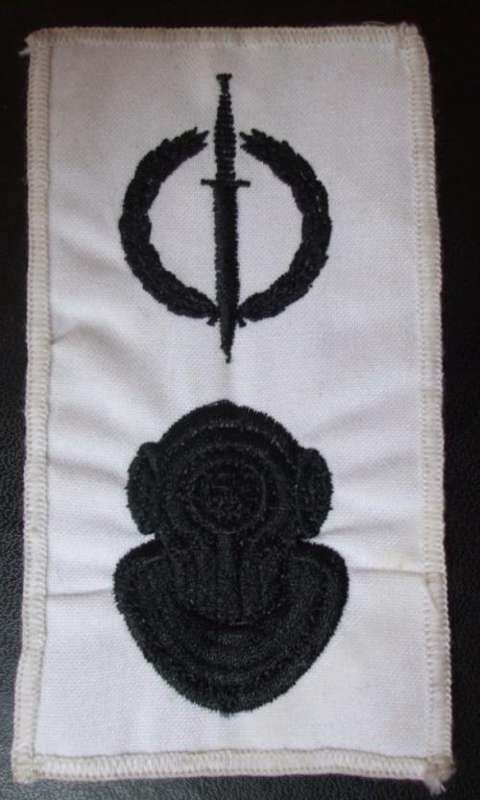 RECCE operator & Diver Badge on White (White border)